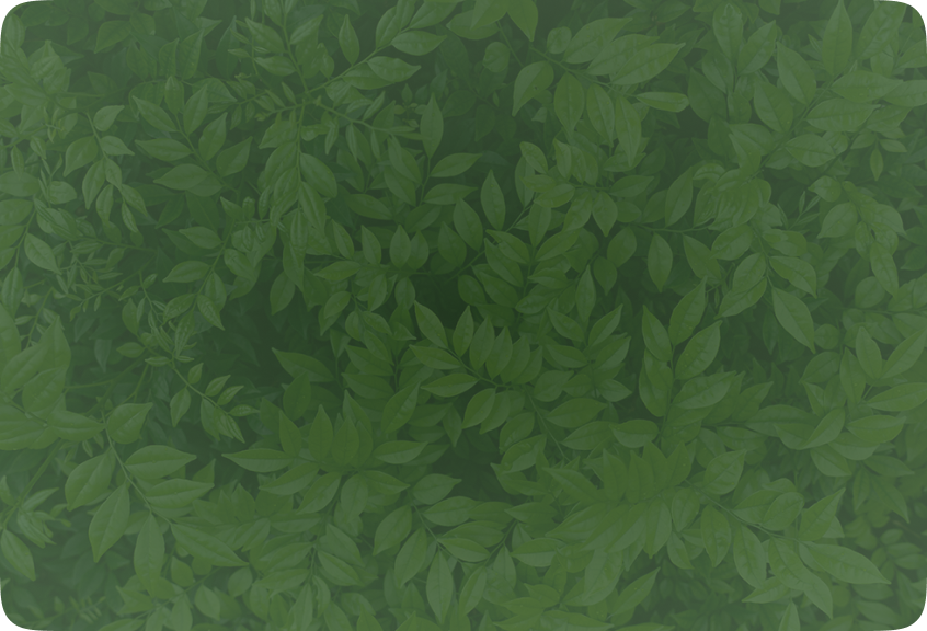 Special Offer Background